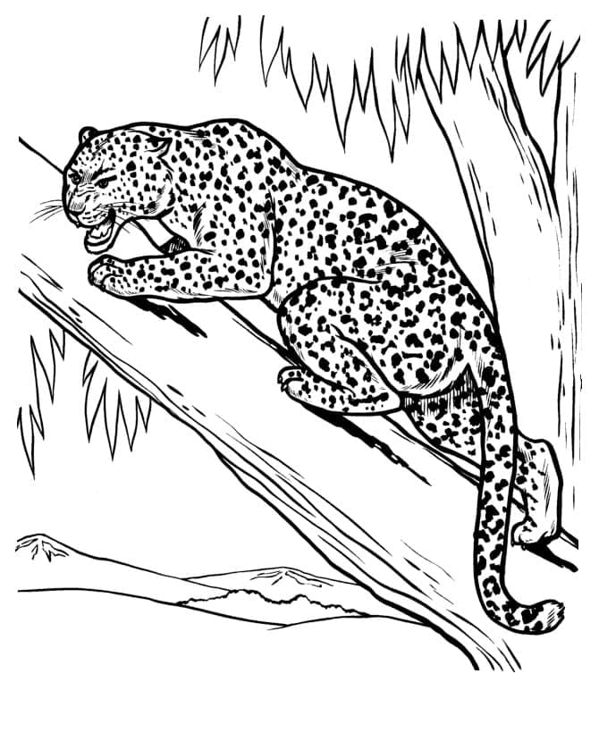 Målarbild Indisk Leopard