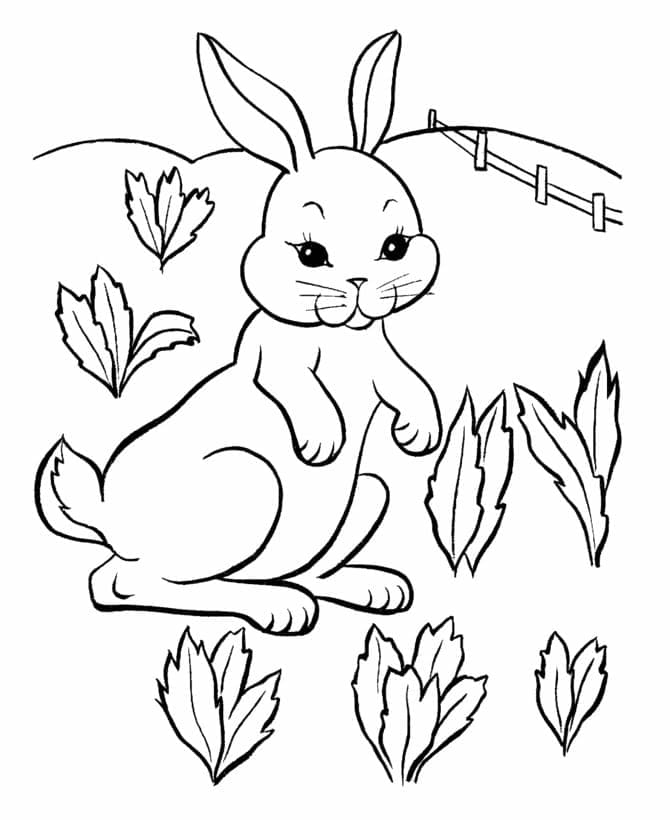 M larbild Kanin 3 Skiv Ut Gratis P Malarbilder se M larbild Kanin 3 Skiv Ut Gratis P Malarbilder se