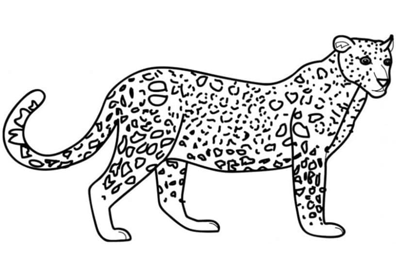 Målarbild Leopard 1