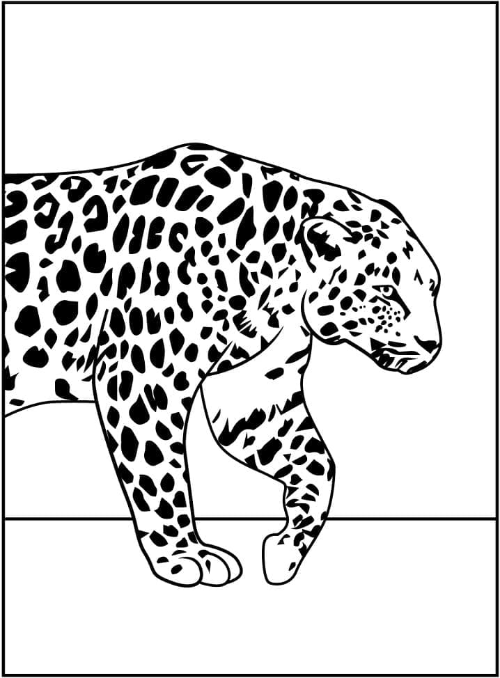 Målarbild Leopard 3