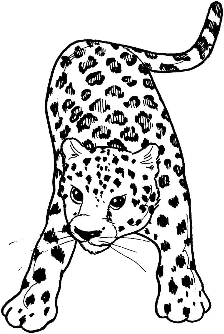 Målarbild Leopard 4
