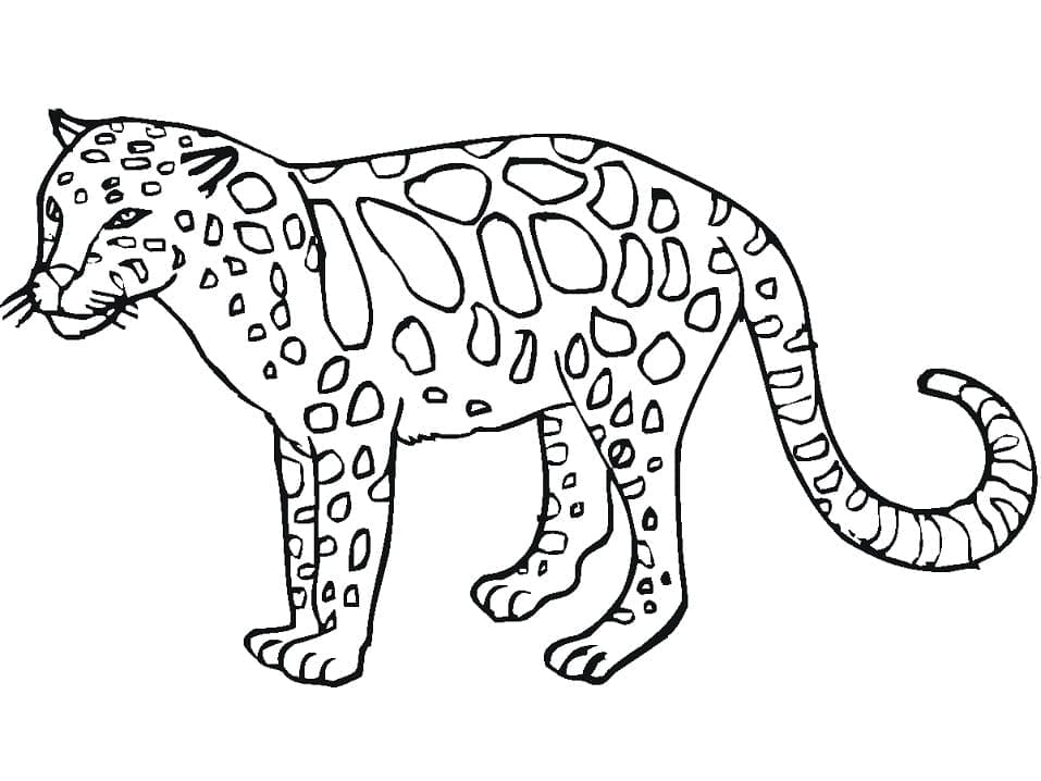 Målarbild Leopard 6