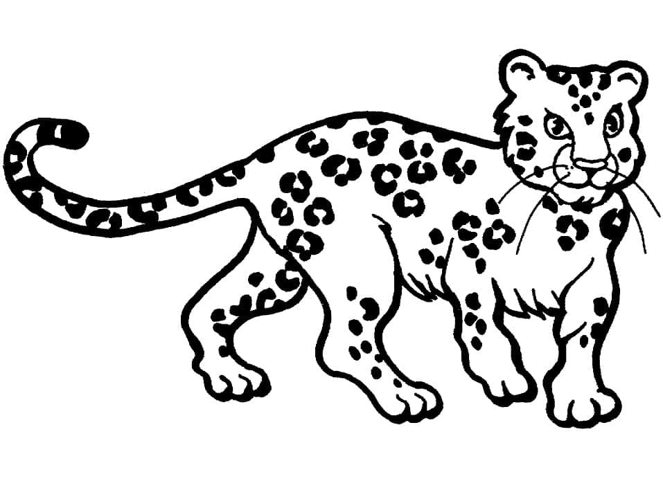 Målarbild Leopard för Barn