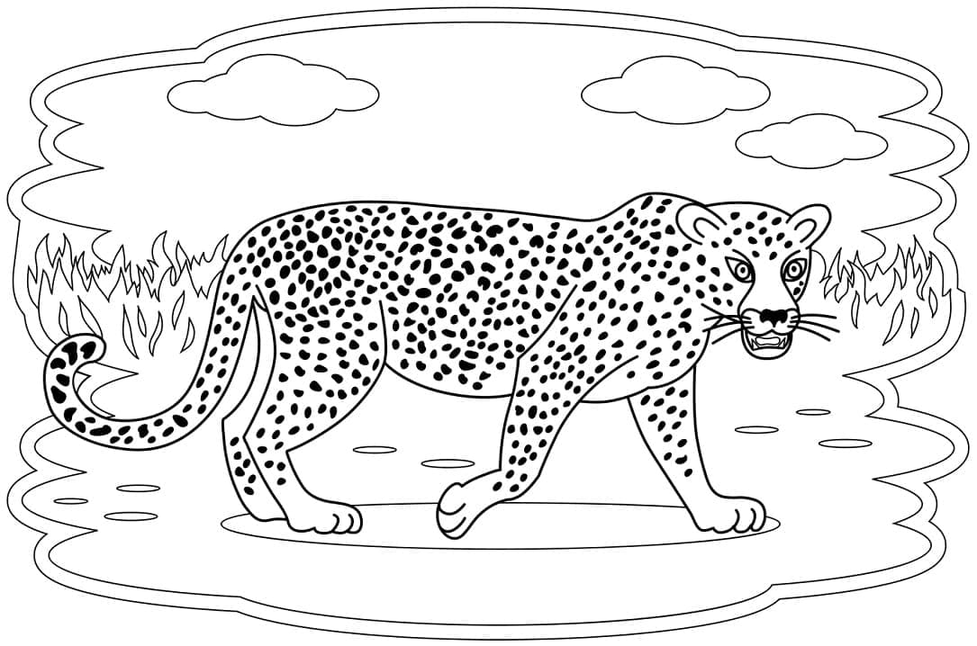 Målarbild Leopard i Det Vilda