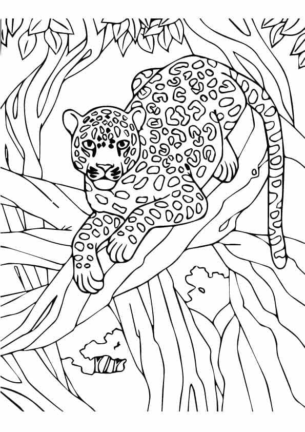 Målarbild Leopard På Trädet