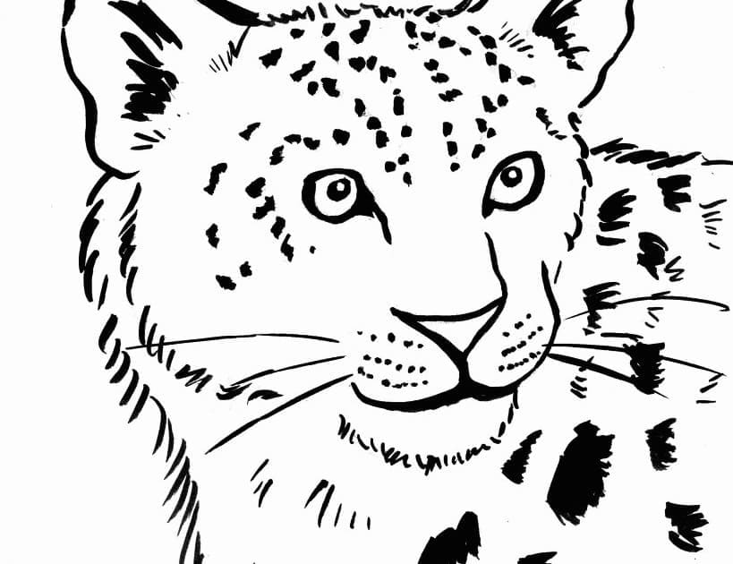 Målarbild Leopards Ansikte