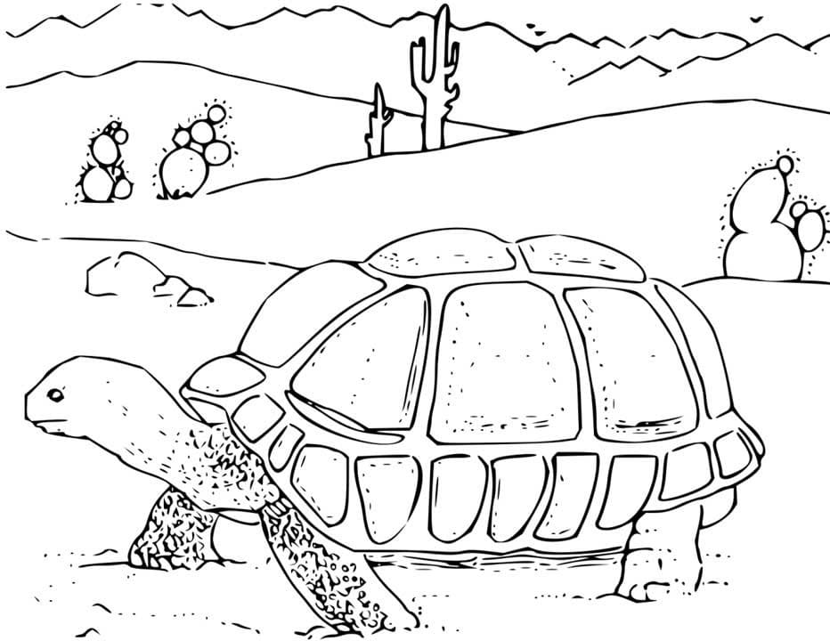Målarbild Ökensköldpadda