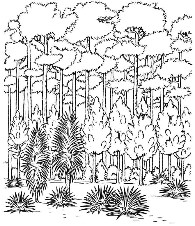 Målarbild Skogen 1