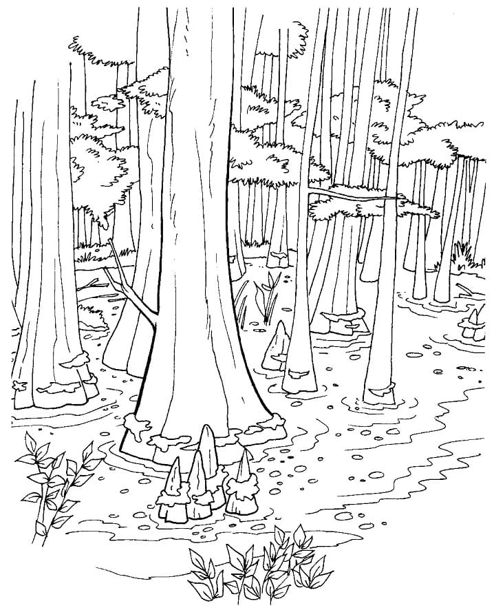 Målarbild Skogen 3