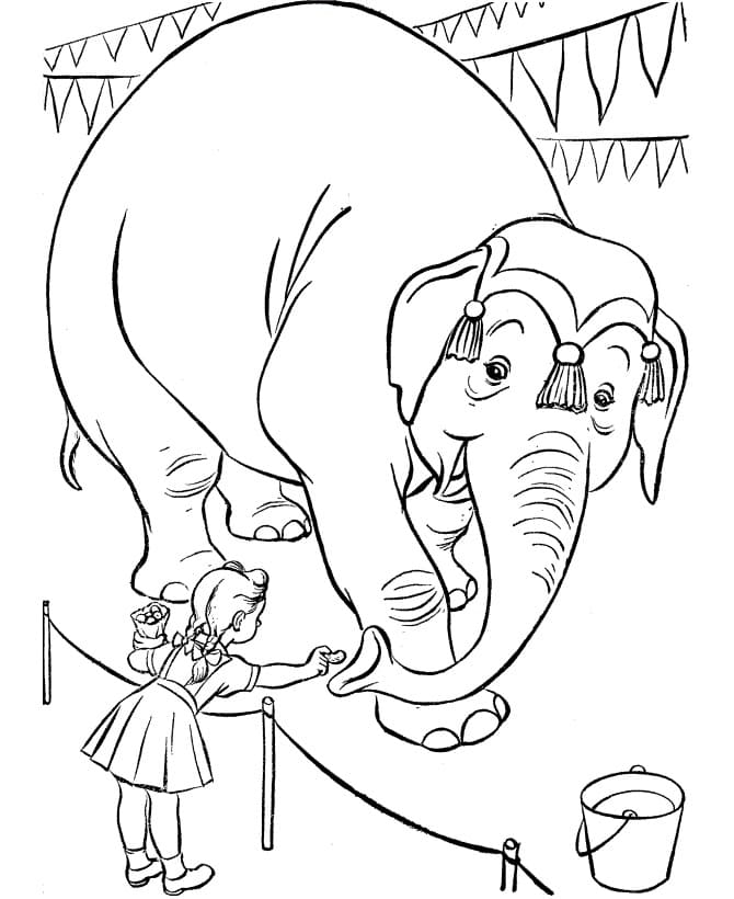 Målarbild Cirkuselefant