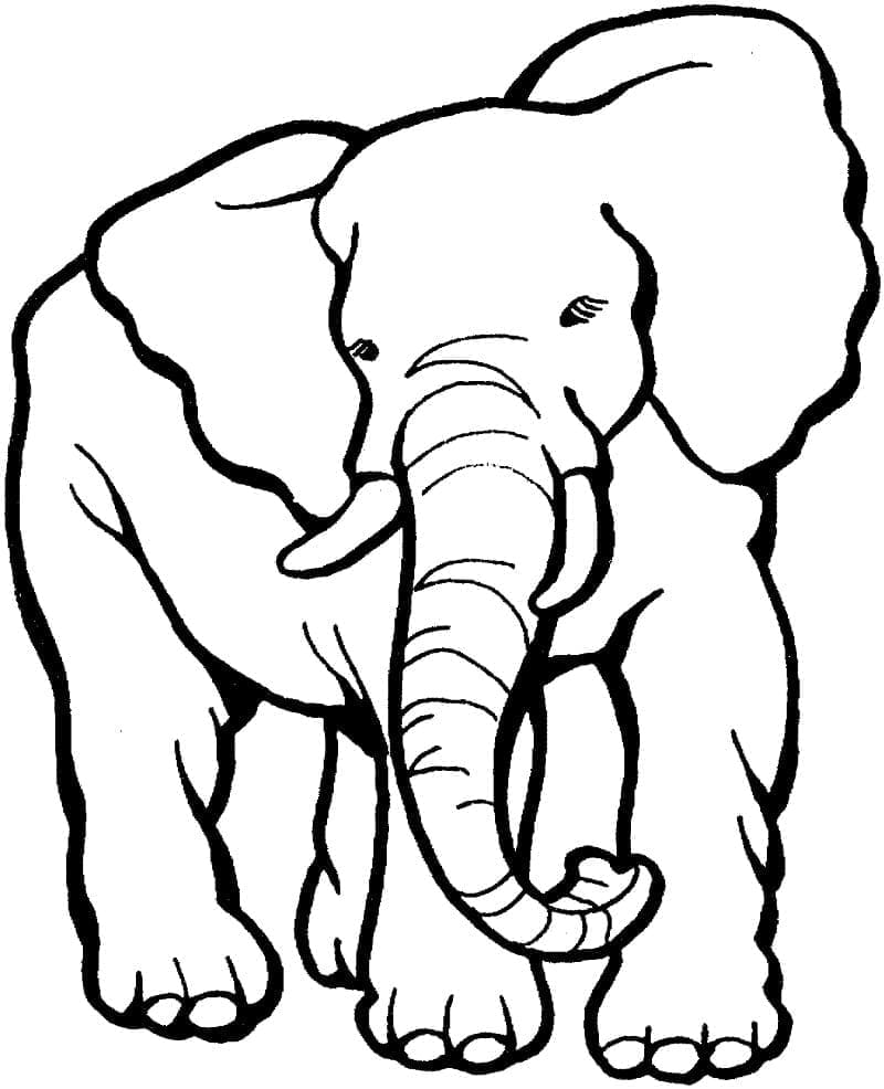 Målarbild Elefant 1