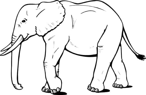 Målarbild Elefant 3