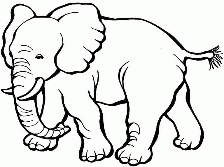 Målarbild Elefant 5