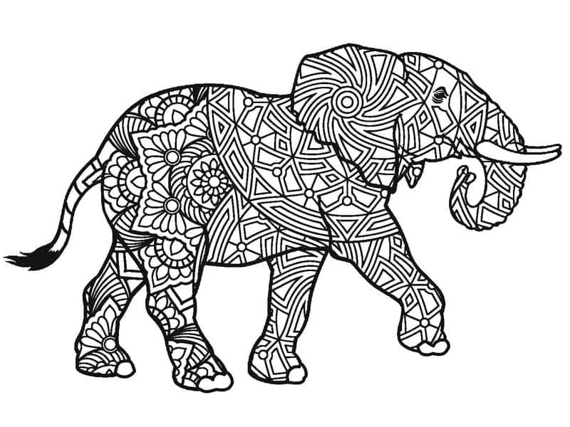 Målarbild Elefant för Vuxna
