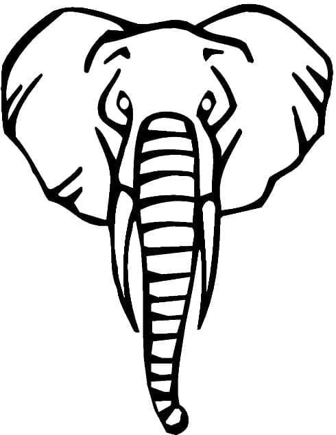 Målarbild Elefanthuvud