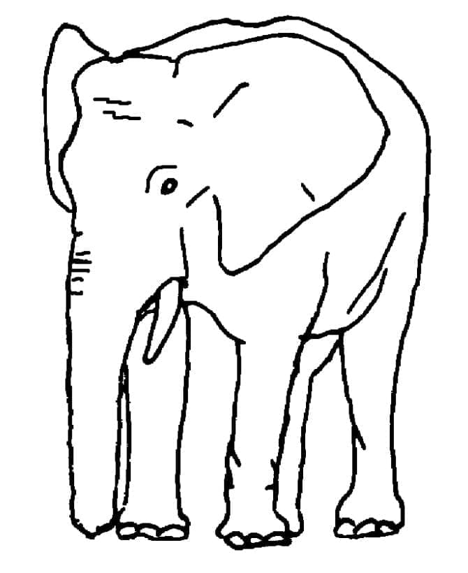 Målarbild En Elefant