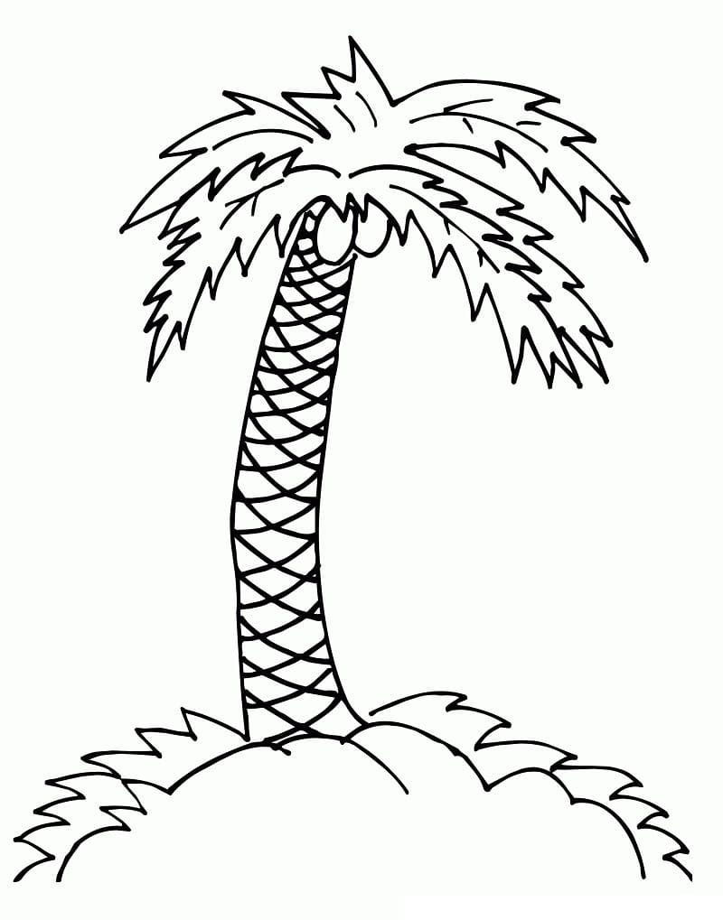 Målarbild Palmträd Gratis