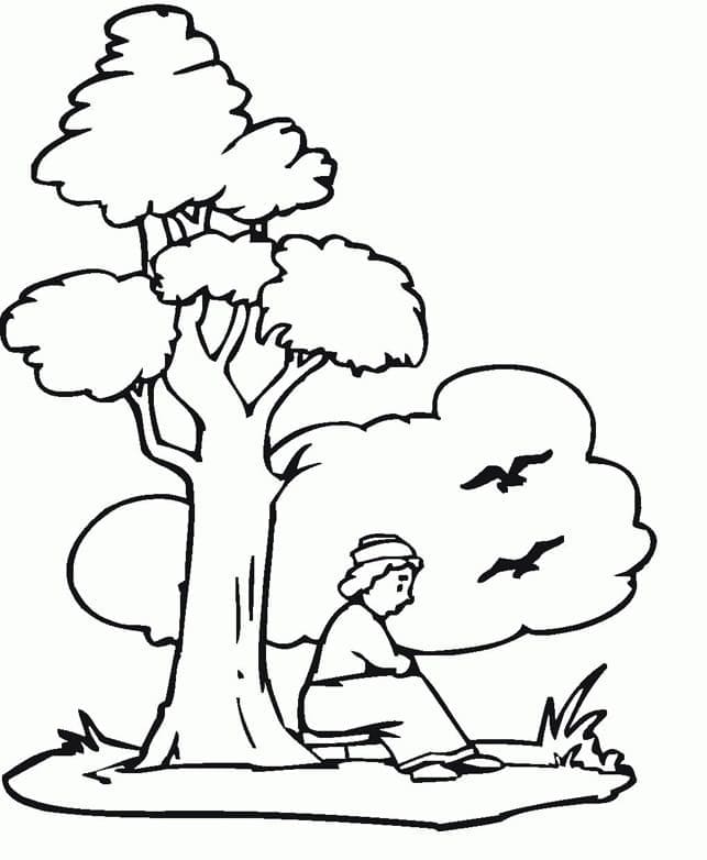 Målarbild Pojke Under Trädet