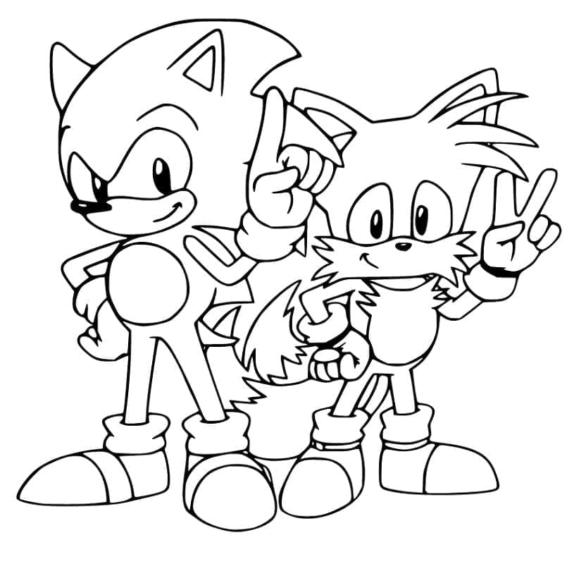 Målarbild Sonic med Tails