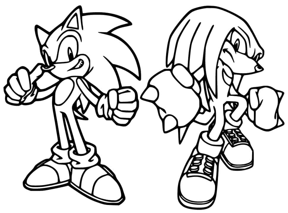 Målarbild Sonic och Knuckles