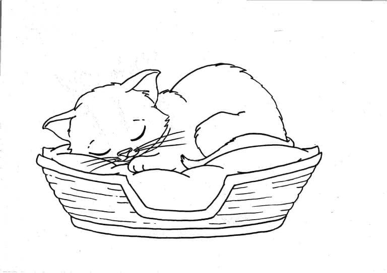 Målarbild Sovande Kattunge