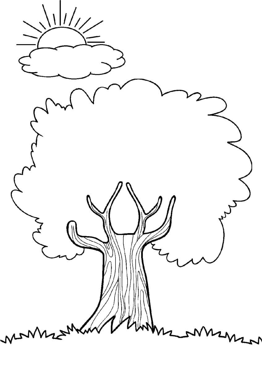 Målarbild Träd Gratis för Barn