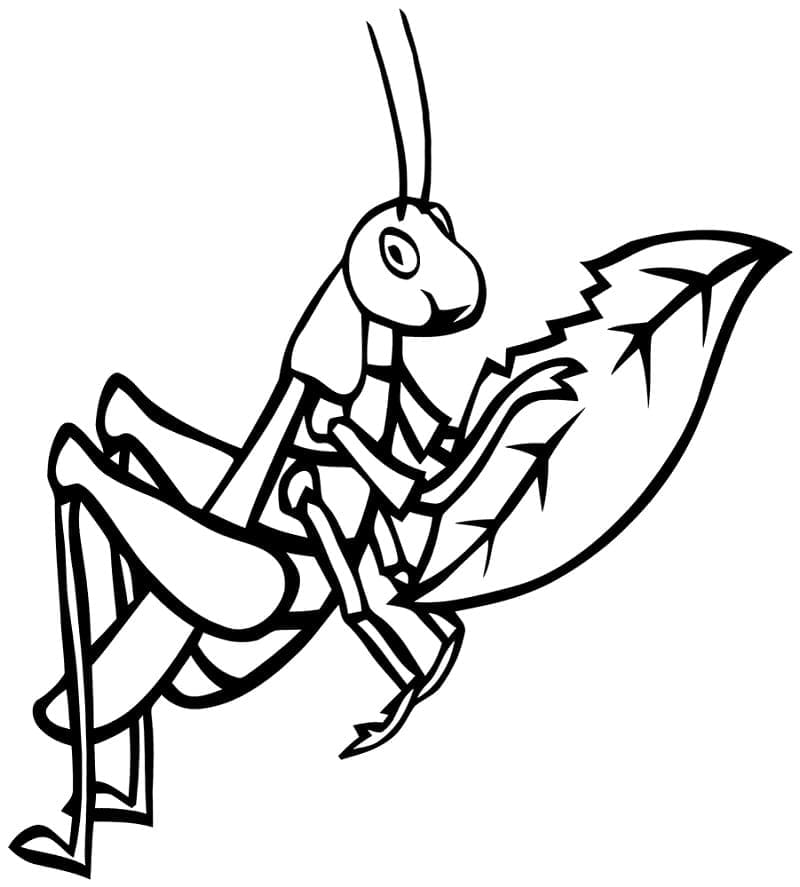 Målarbild Cricket Insekt