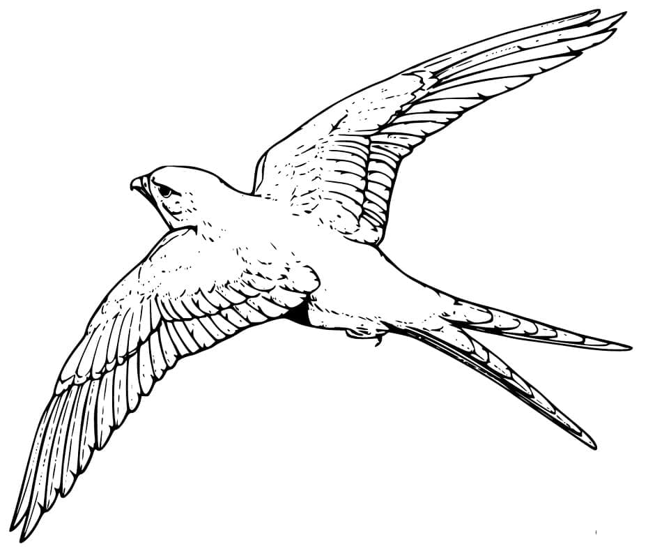 Målarbild En Drakfågel