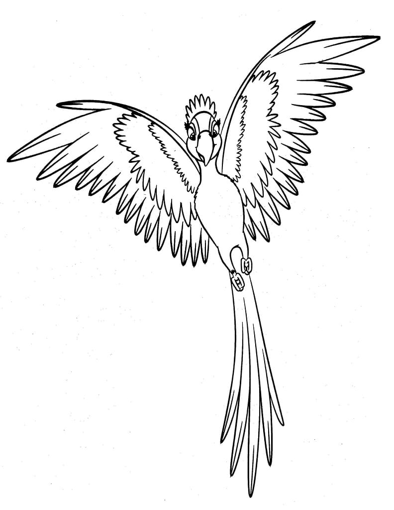Målarbild En Papegojfågel