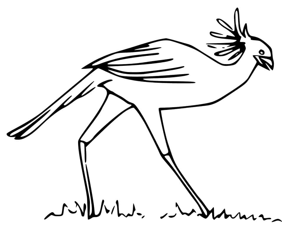 Målarbild En Sekreterarfågel