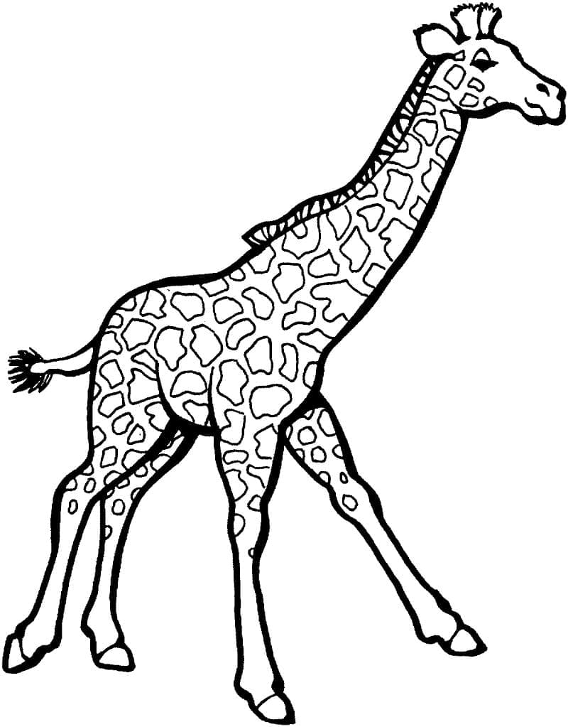 Målarbild Giraff 3