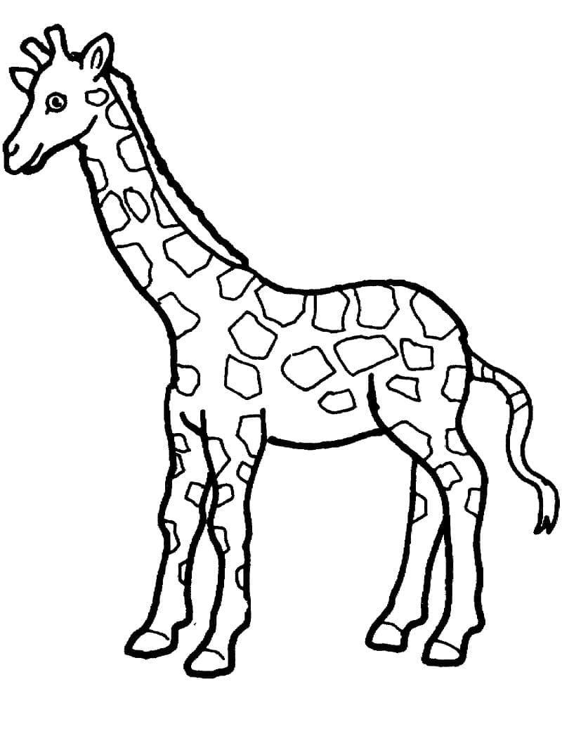 Målarbild Giraff 4