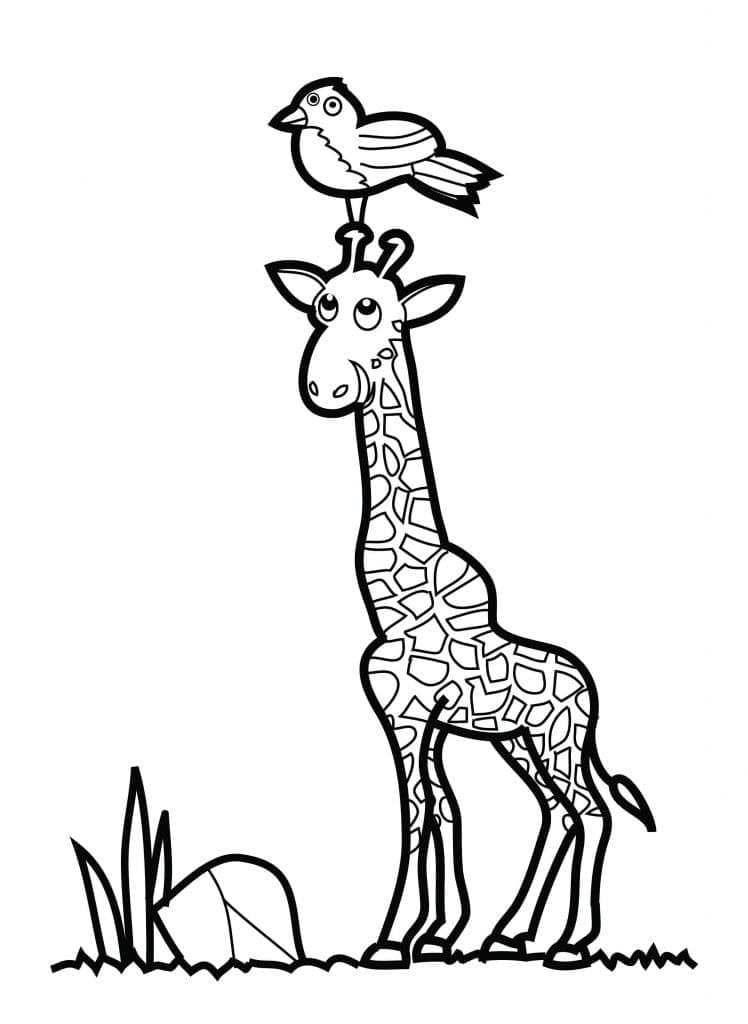 Målarbild Giraff och en Fågel