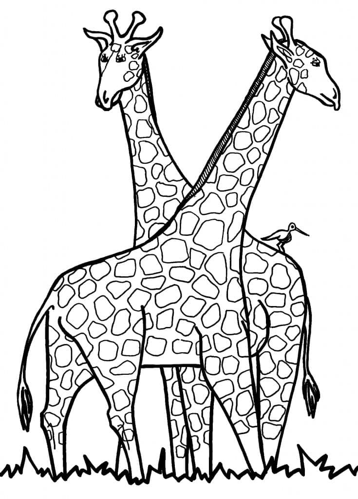 Målarbild Giraffer