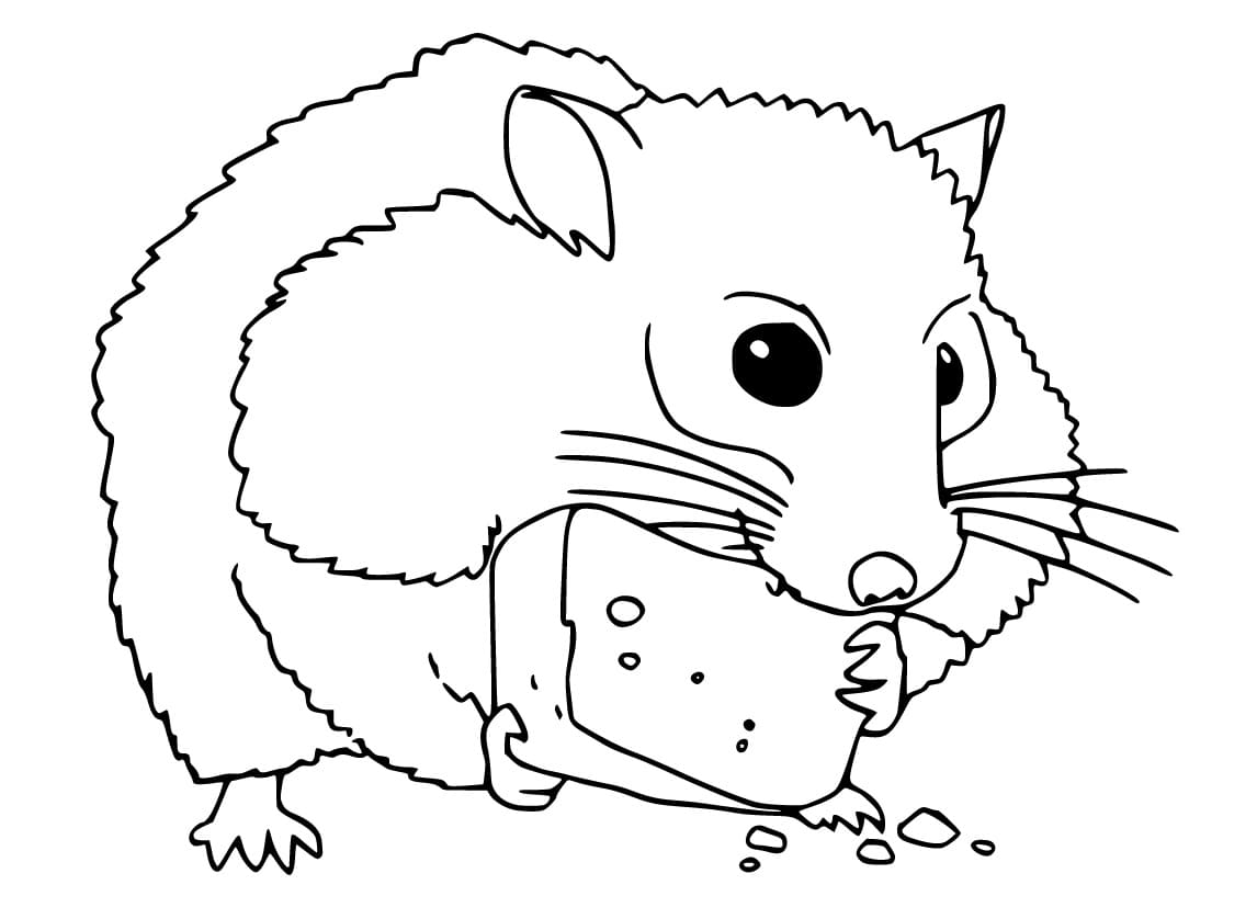 Målarbild Hamster äter Ost