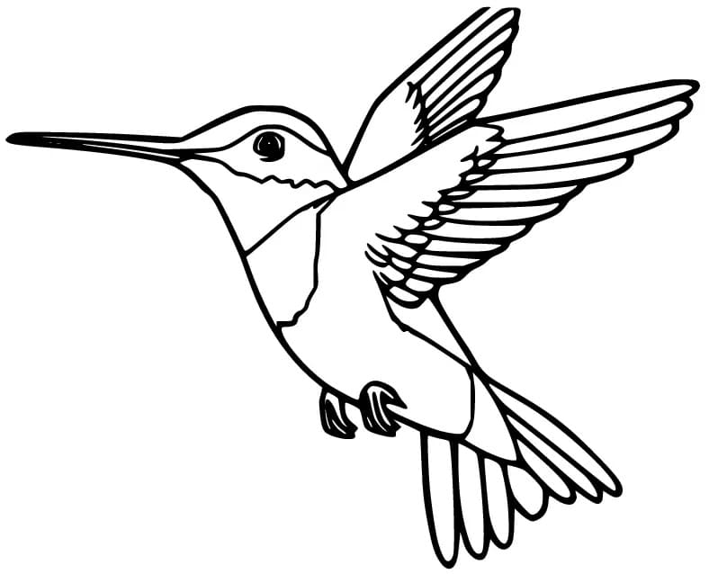 Målarbild Kolibri