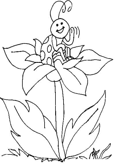 Målarbild Nyckelpiga på en Blomma