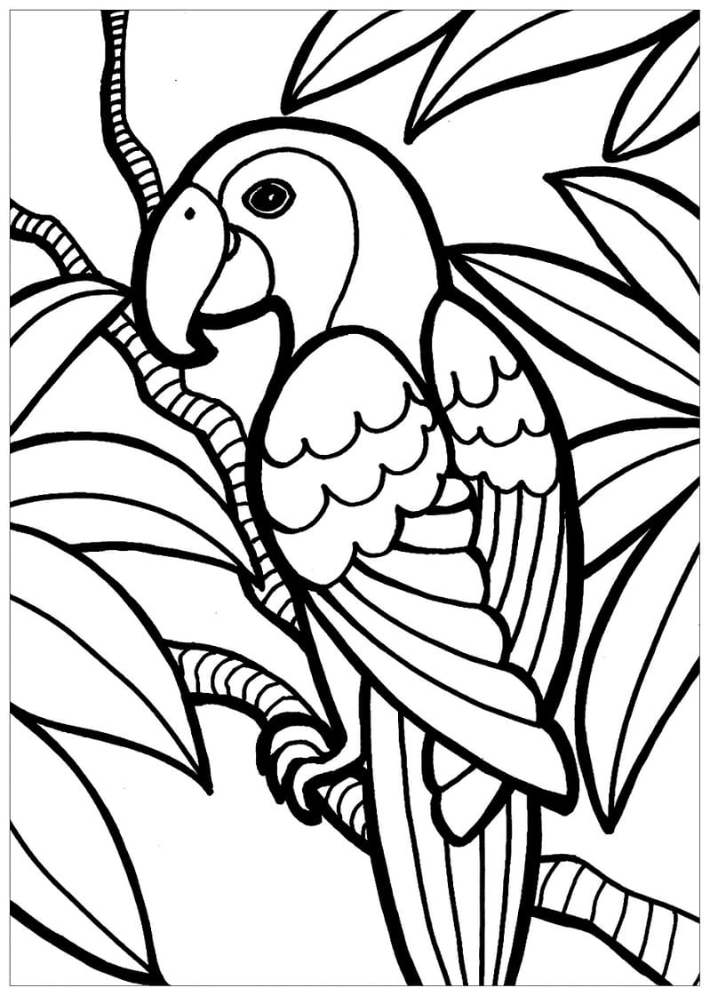Målarbild Papegojfågel