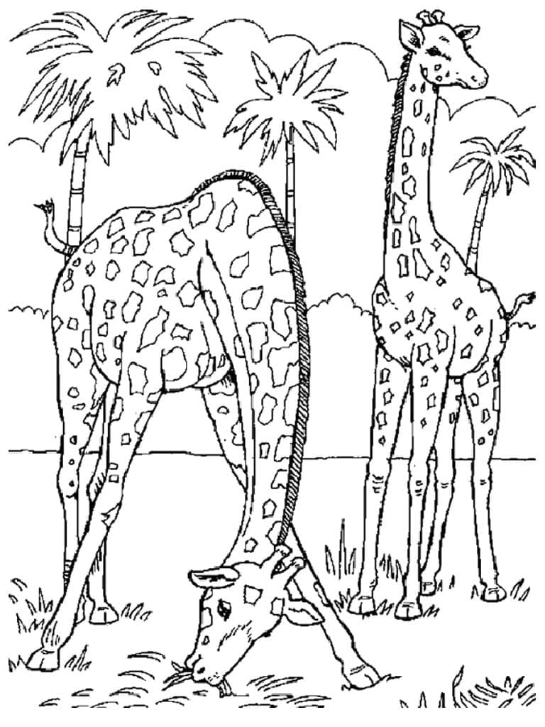 Målarbild Två Giraffer