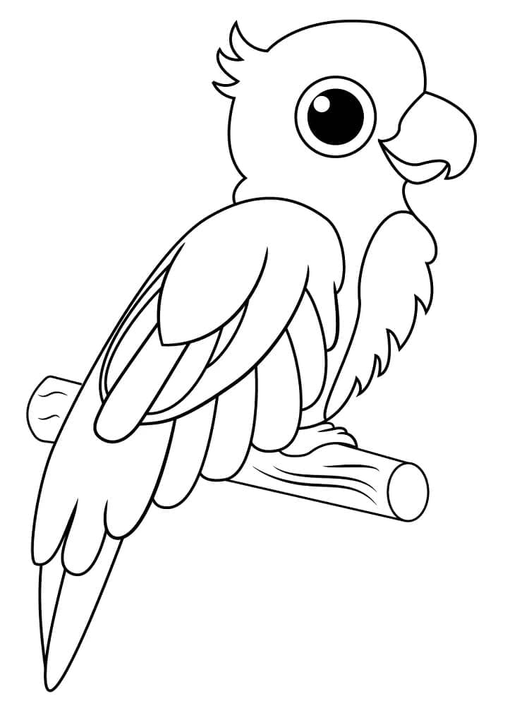 Målarbild Baby Papegoja