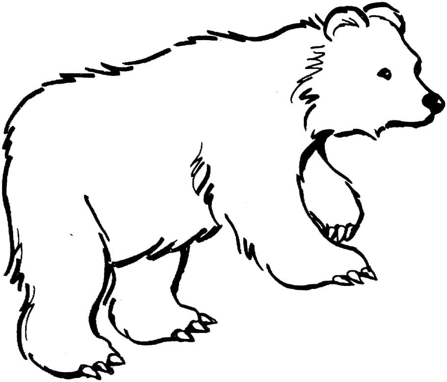 Målarbild Brunbjörn för Barn