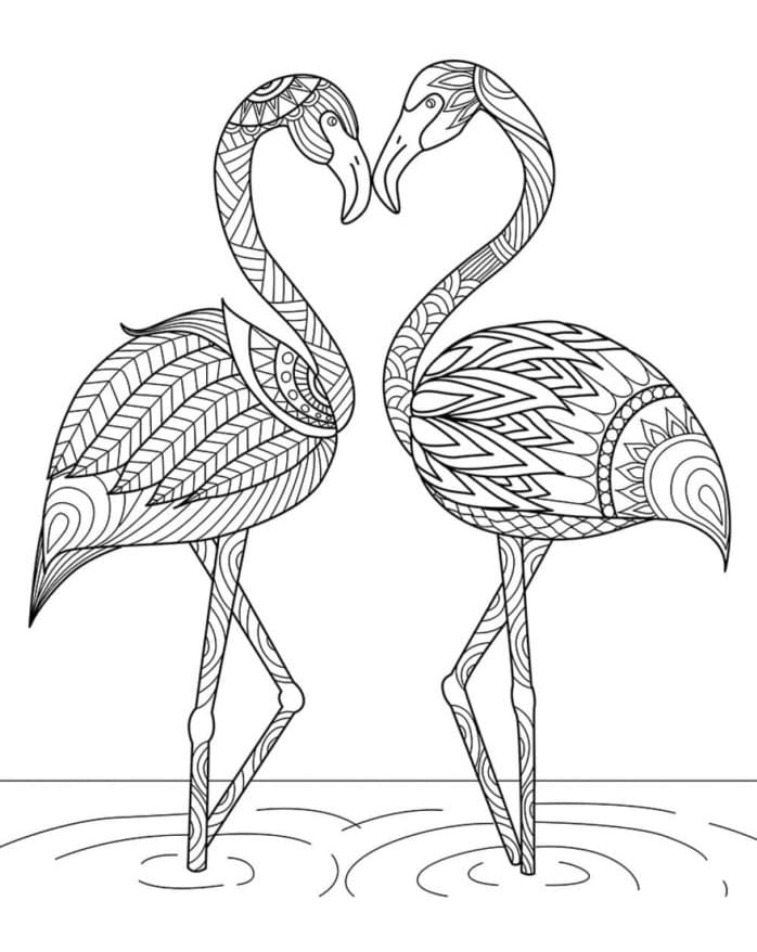 Målarbild Flamingos för Vuxna