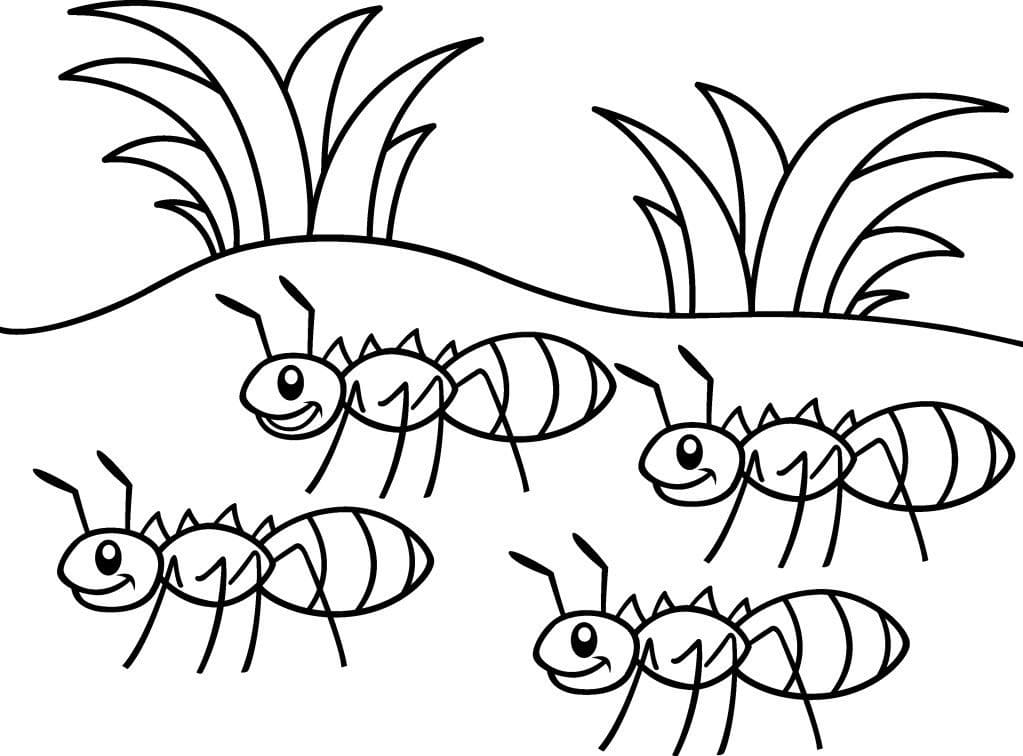 Målarbild Fyra Myror