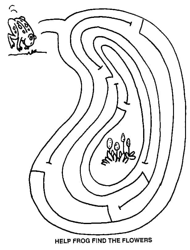 Målarbild Groda och Labyrint