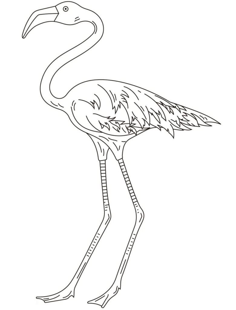 Målarbild Hög Flamingo