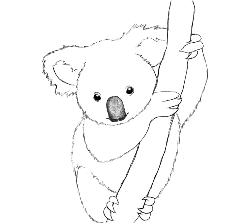Målarbild Koala 2