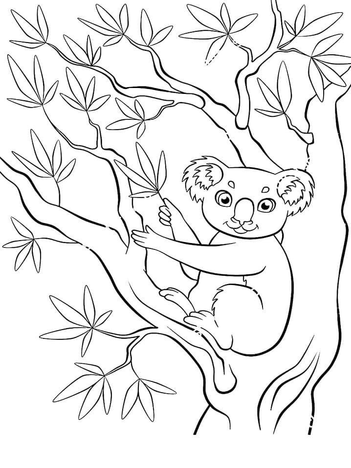 Målarbild Koala på Trädet