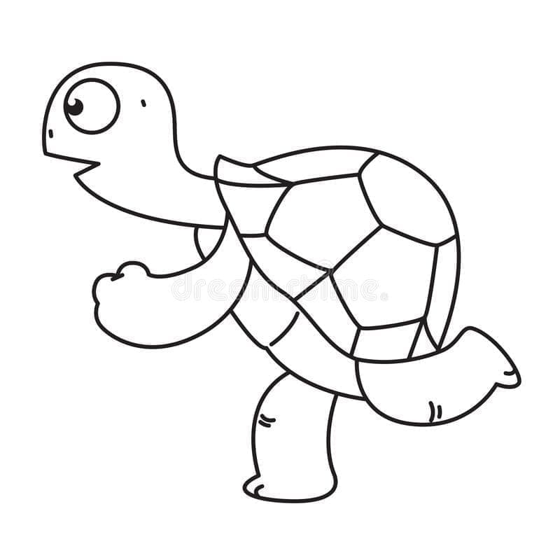 Målarbild Löpande Sköldpadda