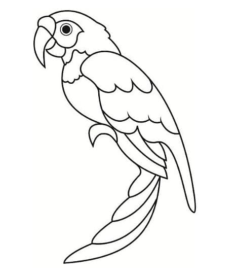 Målarbild Papegoja 6
