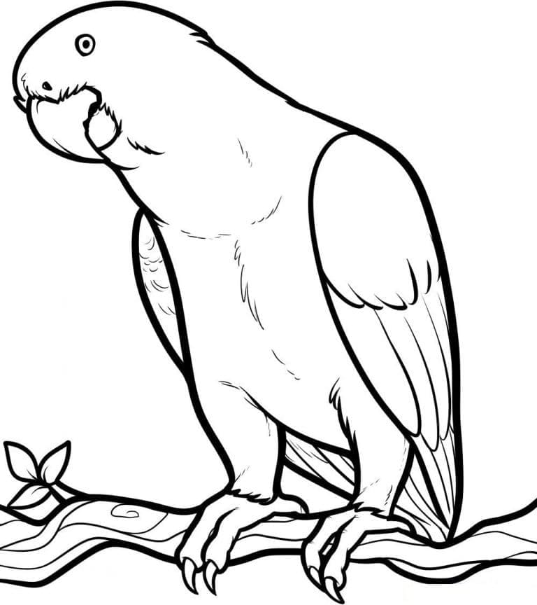 Målarbild Papegoja på en Gren